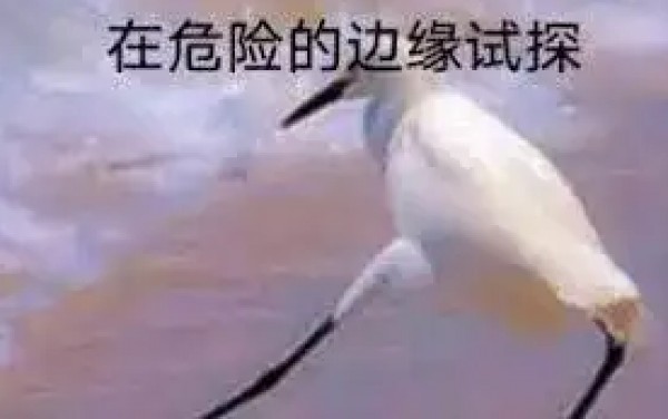 大地震！增額終身壽即將迎來團滅？！