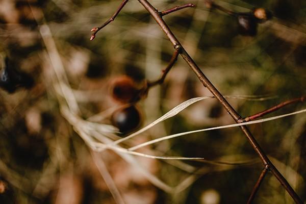 大病醫(yī)療互助保險報銷范圍是怎樣的？報銷多少錢？