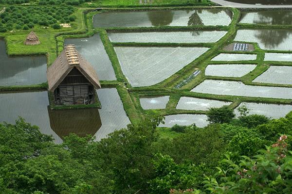 大病商業(yè)保險怎么買？一年多少錢？