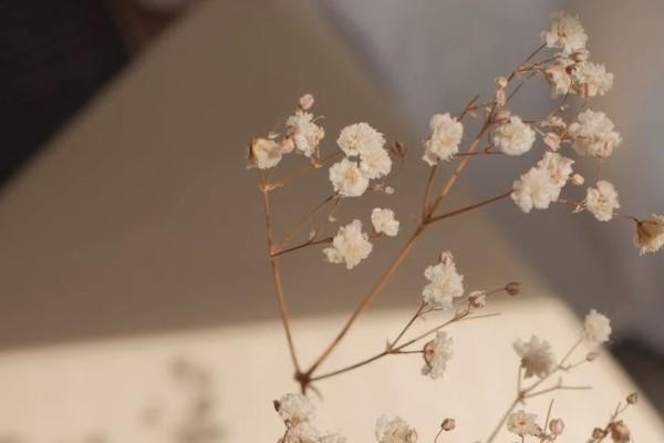 農(nóng)村大病保險(xiǎn)怎么買？包含的疾病有哪些？