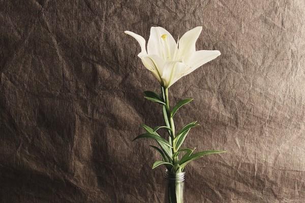 新農(nóng)合有大病保險嗎？保障范圍有哪些？