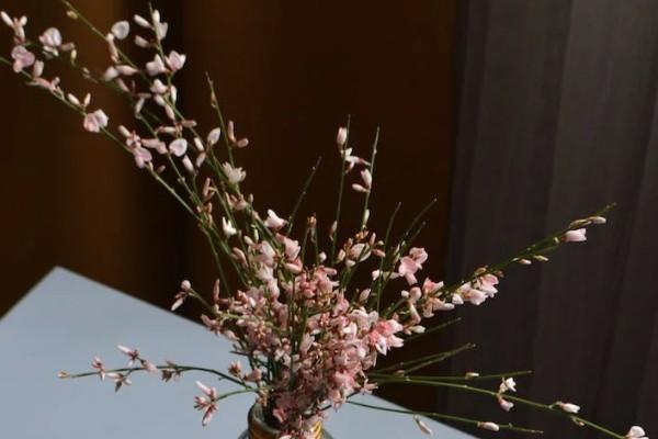 醫(yī)保大病保險一年交多少錢？可以報銷多少錢？