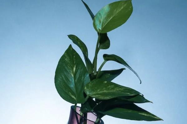 大病醫(yī)療保險怎么報銷?。恳獪?zhǔn)備哪些資料？