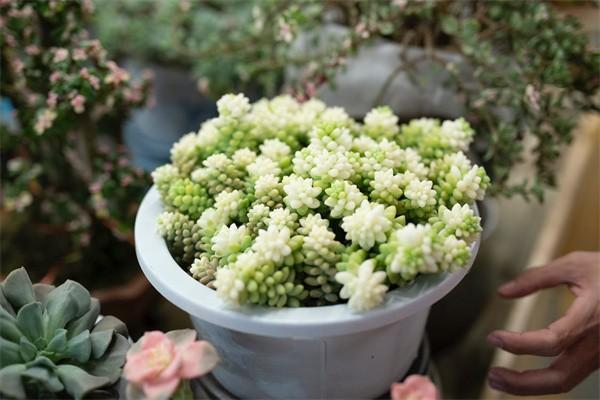 買醫(yī)療保險在哪里買？多久能生效？