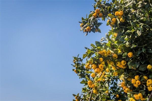 醫(yī)療保險(xiǎn)都包括什么險(xiǎn)種？一年多少錢？