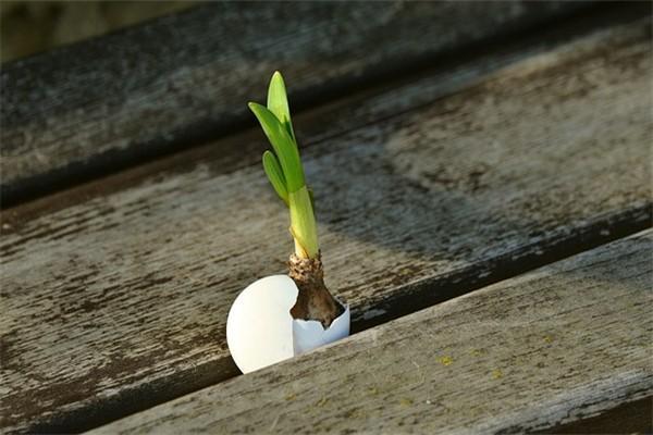 大病醫(yī)療怎么辦？一年交多少錢？