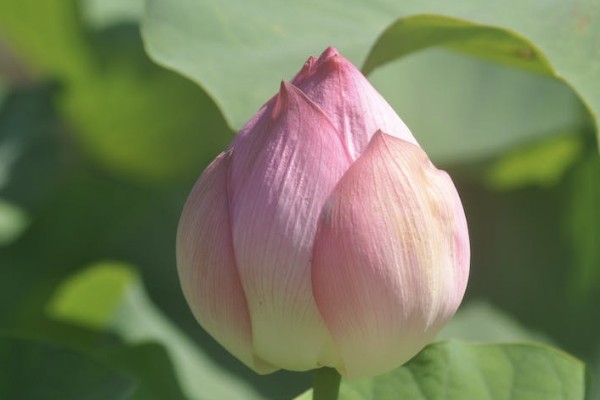 年金險(xiǎn)什么年齡買合適？該如何選擇？