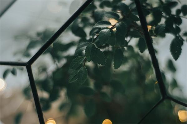今年個人養(yǎng)老交多少錢2022？繳費記錄怎么查？