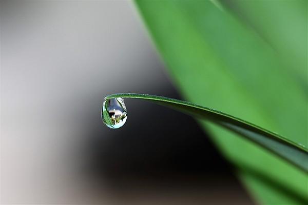 農(nóng)村醫(yī)保怎么繳費(fèi)？繳費(fèi)后怎么報(bào)銷(xiāo)？