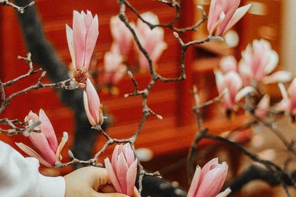 醫(yī)保單位繳費(fèi)比例