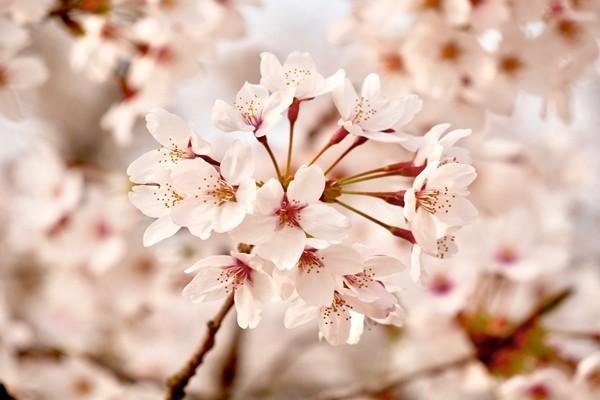 網(wǎng)上醫(yī)保怎么繳費(fèi)？多久可以查詢到？