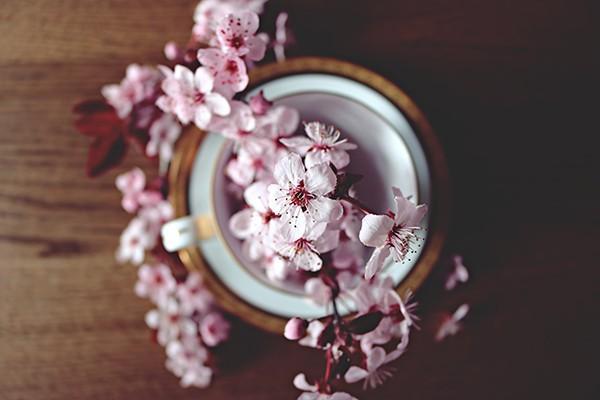 農(nóng)村醫(yī)療保險(xiǎn)怎么繳費(fèi)？能報(bào)銷什么費(fèi)用？