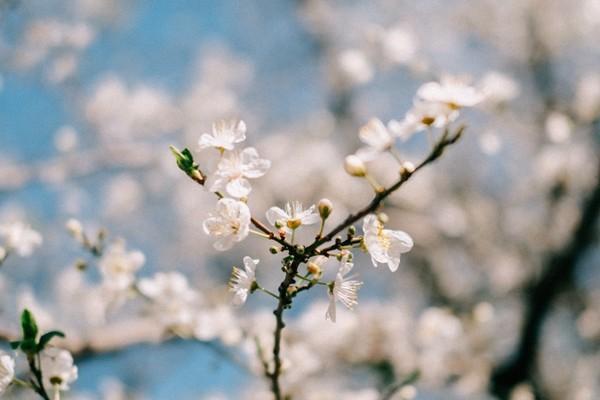 醫(yī)保繳費查詢不到個人應(yīng)繳信息是什么原因？怎么辦？