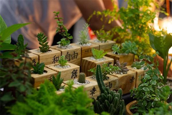 養(yǎng)老保險(xiǎn)交多少錢合適？交多少年封頂？