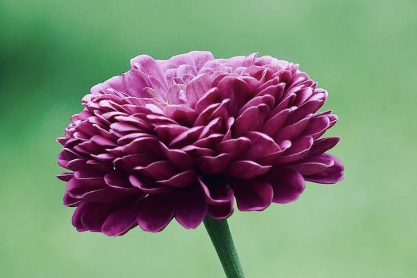 保險(xiǎn)理賠需要醫(yī)院什么材料？流程是什么？