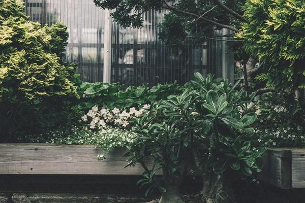 如何查自己的企業(yè)年金