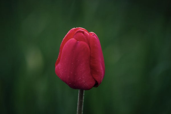 人壽保險(xiǎn)100元意外險(xiǎn)賠償明細(xì)包括哪些？需要多久？