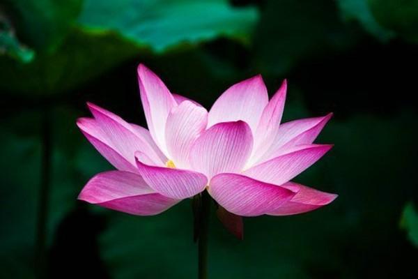 對(duì)方全責(zé)不配合理賠怎么辦？起訴流程是怎樣的？