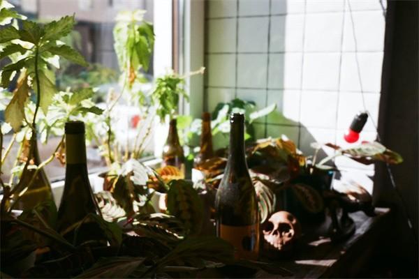 保險(xiǎn)理賠流程6個(gè)環(huán)節(jié)包括哪些？理賠需要哪些資料？