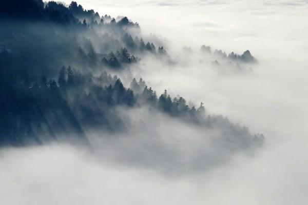 養(yǎng)老保險交15年和20年的區(qū)別有哪些？哪個劃算？