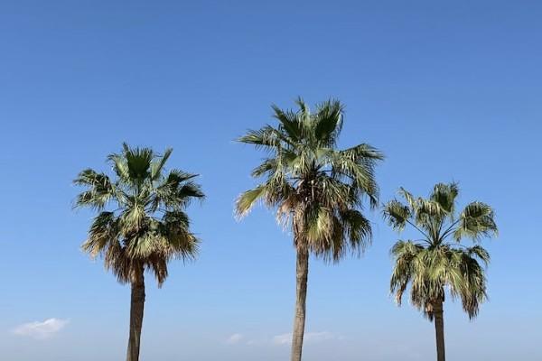 保險(xiǎn)公司哪家口碑最好？排名前十的有哪些？