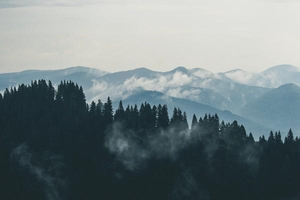 養(yǎng)老保險繳費查詢有哪些方式？繳費多久可以領(lǐng)錢？