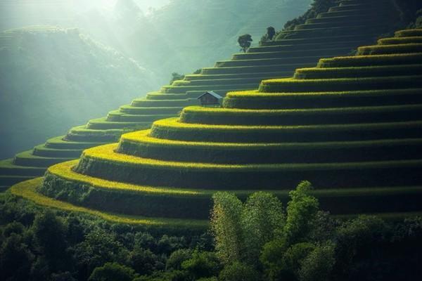 車險(xiǎn)報(bào)案時(shí)千萬不能說的話是什么？應(yīng)該注意哪些事項(xiàng)？