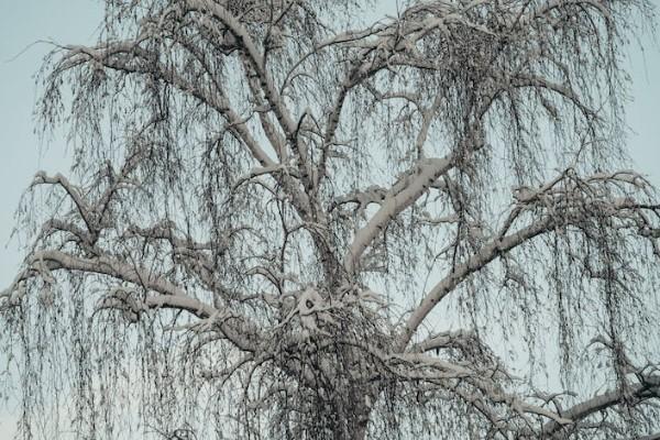 保險(xiǎn)公司骨折一般怎么理賠