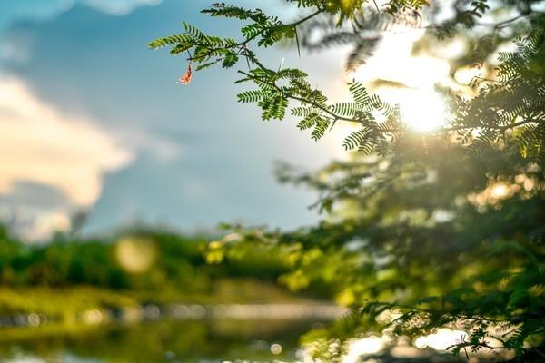醫(yī)保卡查詢個(gè)人賬戶明細(xì)怎么查詢？有必要查詢嗎？