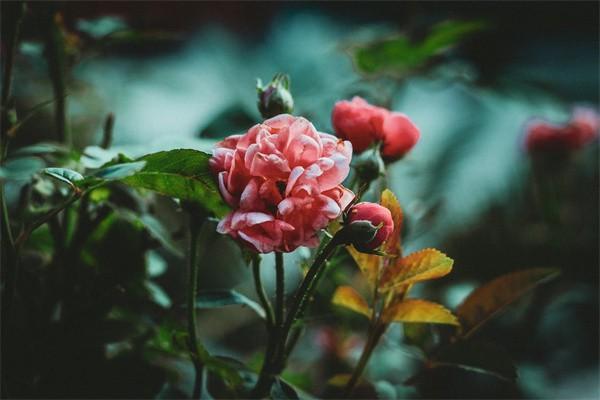 養(yǎng)老保險交30年退休每月拿多少？與哪些因素有關(guān)？