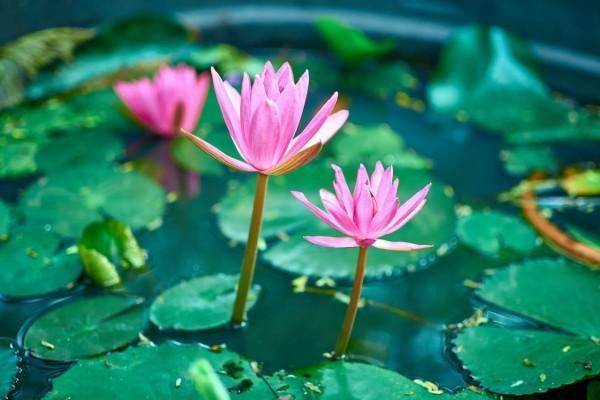 給員工買保險(xiǎn)多少錢一個(gè)月？給員工買保險(xiǎn)有哪些？