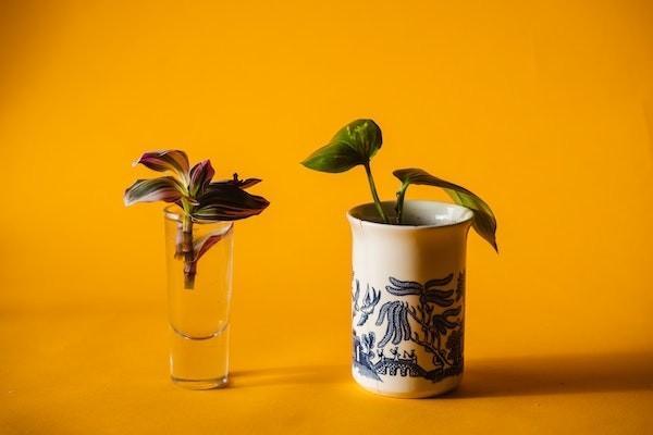 社保怎么自己繳費(fèi)？最少交多少年？