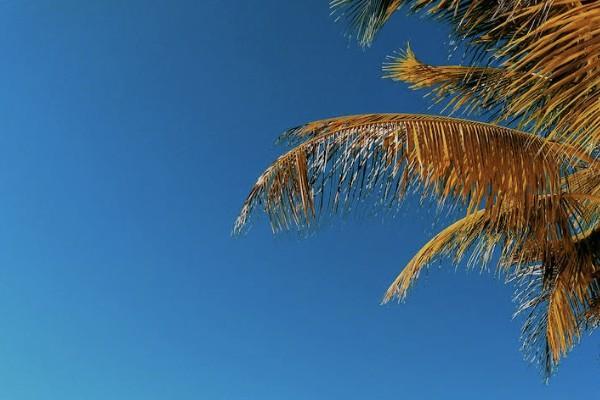 平安保險養(yǎng)老險種哪個好？有哪些？