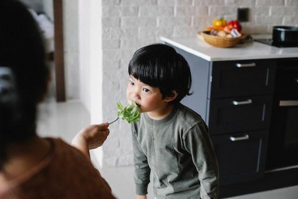 保險人和被保險人是什么意思？保險人可否隨意解除保險合同？