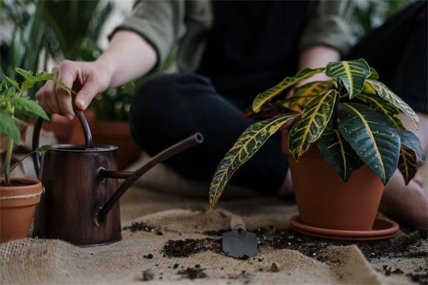 商業(yè)保險怎么報銷？報銷后還能買嗎？