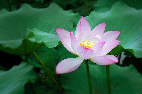 如何控制養(yǎng)老理財?shù)娘L(fēng)險？養(yǎng)老理財推薦哪些產(chǎn)品？