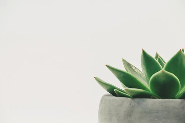 平安保險(xiǎn)人身意外險(xiǎn)多少錢一年？去哪里買？