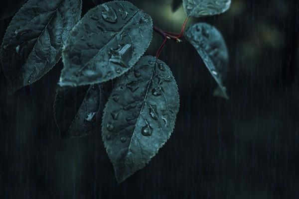 重疾險(xiǎn)有必要買(mǎi)嗎？買(mǎi)定期的好還是終身的好？