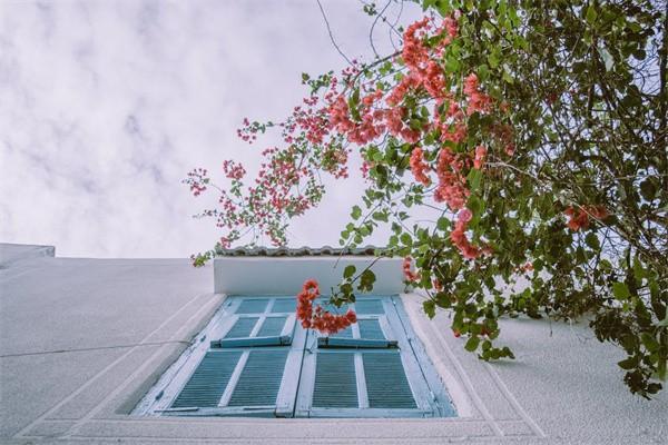 分紅保險可靠嗎？到期了可以拿回本金嗎？