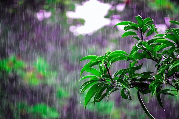 保險(xiǎn)公司遲遲不給賠償款怎么辦