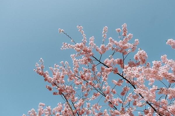 為什么不建議買理財保險？應(yīng)該如何選擇？