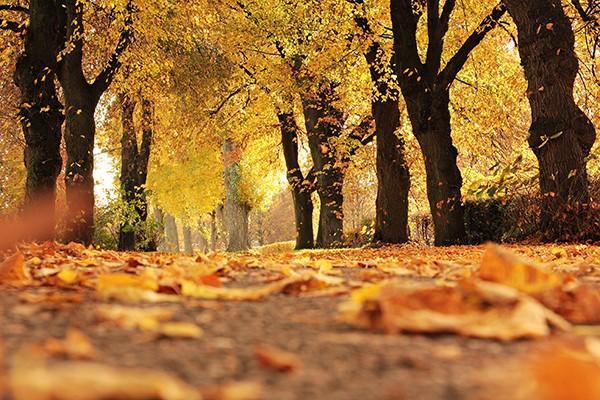 分紅型保險(xiǎn)的保單紅利是不確定的嗎？適合哪些人購(gòu)買？