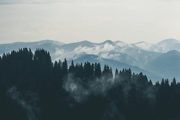 年金險(xiǎn)是什么？年金險(xiǎn)的優(yōu)勢(shì)是什么？