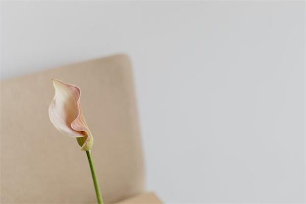 普通意外險多少錢一年？可以買多份嗎？