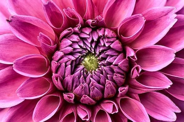 國華傳家福終身壽險尊享版有哪些優(yōu)勢？值得買嗎？