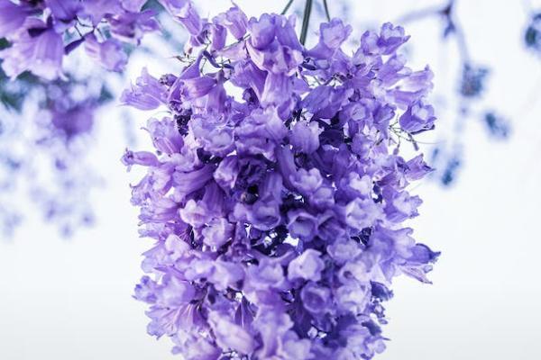 樂享年年增額終身壽險(xiǎn)有哪些優(yōu)點(diǎn)？購買時(shí)要注意什么？