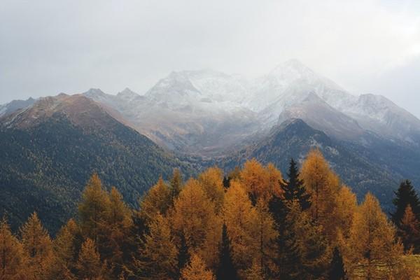 意外險(xiǎn)的理賠范圍是什么？是怎么理賠的？