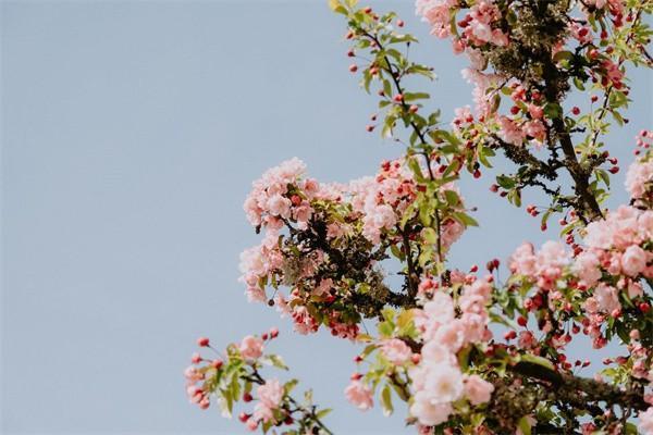 保險(xiǎn)不理賠找哪個(gè)投訴部門？投訴有用嗎？
