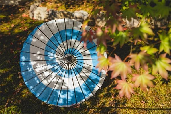 保險公司不給理賠我應(yīng)該怎樣投訴？投訴有用嗎？