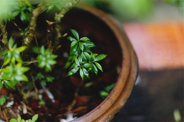 意外險(xiǎn)個(gè)人怎么買？買哪種最好？
